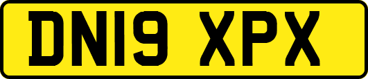 DN19XPX