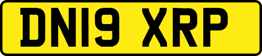 DN19XRP