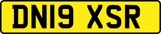DN19XSR