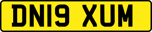 DN19XUM