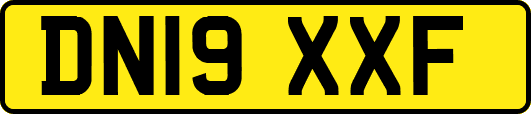 DN19XXF