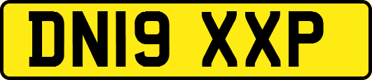 DN19XXP