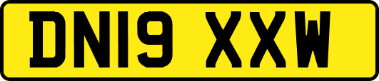 DN19XXW