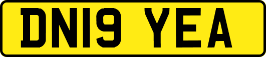 DN19YEA