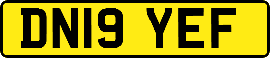 DN19YEF
