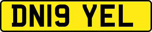 DN19YEL