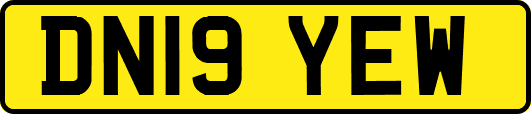 DN19YEW