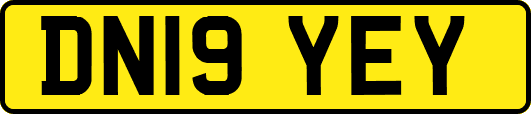 DN19YEY