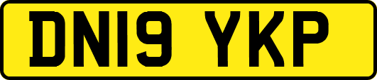 DN19YKP