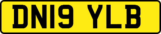 DN19YLB