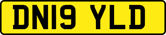 DN19YLD