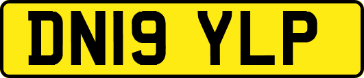 DN19YLP