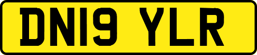 DN19YLR