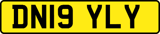 DN19YLY