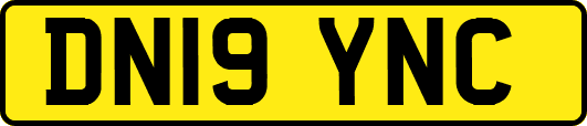 DN19YNC