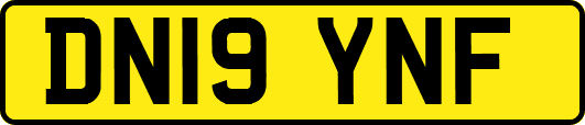 DN19YNF