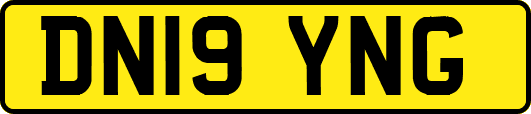 DN19YNG