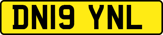 DN19YNL