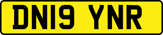 DN19YNR