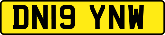 DN19YNW