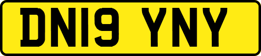 DN19YNY