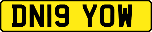 DN19YOW