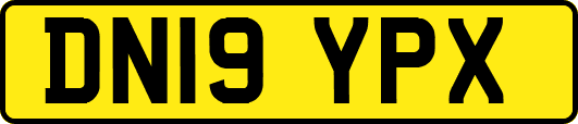DN19YPX
