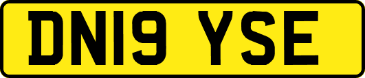 DN19YSE