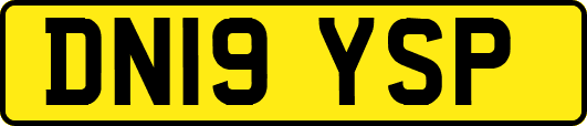 DN19YSP