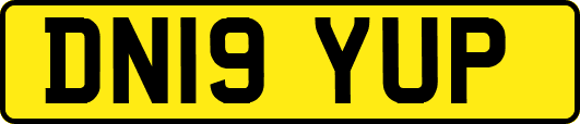 DN19YUP