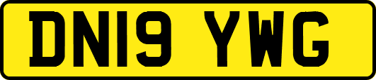 DN19YWG