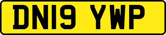 DN19YWP