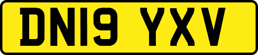 DN19YXV