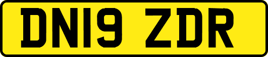 DN19ZDR