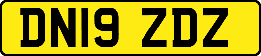 DN19ZDZ