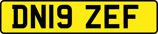 DN19ZEF