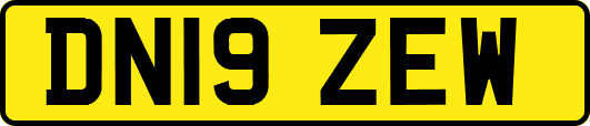 DN19ZEW