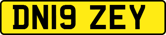 DN19ZEY