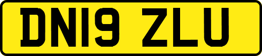 DN19ZLU