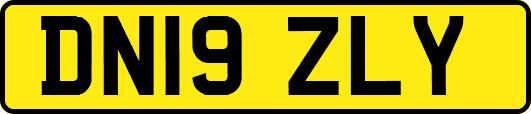 DN19ZLY