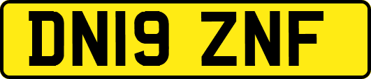 DN19ZNF