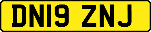 DN19ZNJ
