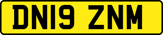 DN19ZNM