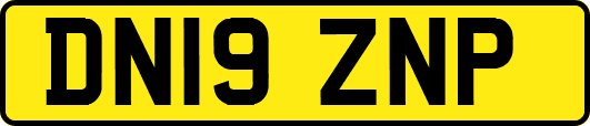 DN19ZNP