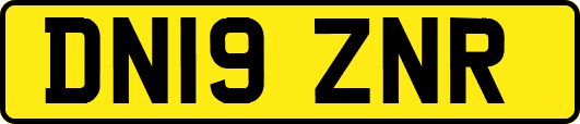 DN19ZNR