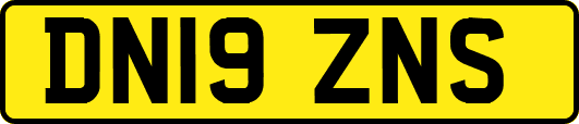 DN19ZNS