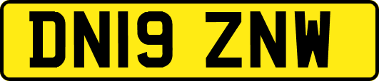DN19ZNW