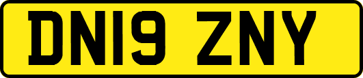 DN19ZNY