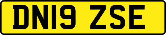 DN19ZSE