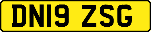 DN19ZSG